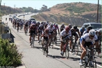Imagem de vrios ciclistas durante uma prova. <br> <br> Palavras-chave: esporte, ciclismo, bicicleta.